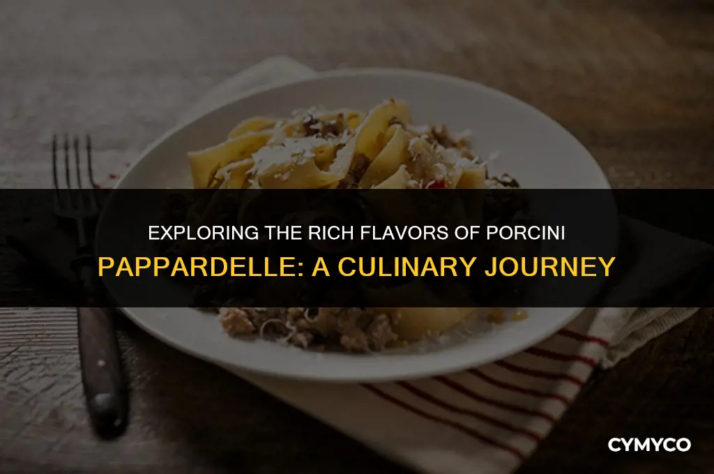 what is porcini pappardelle