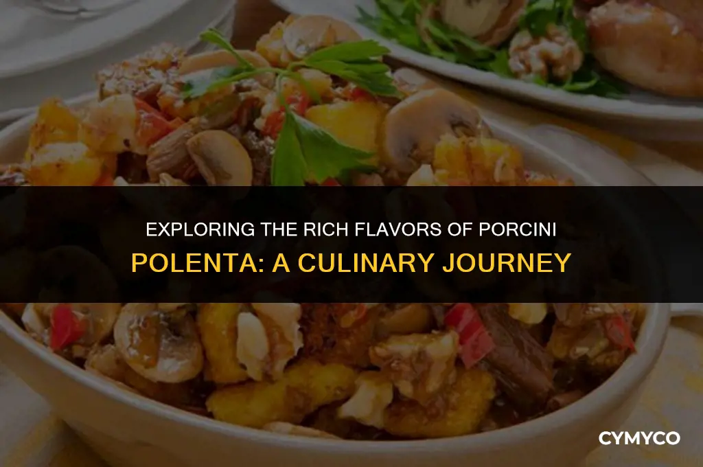 what is porcini polenta