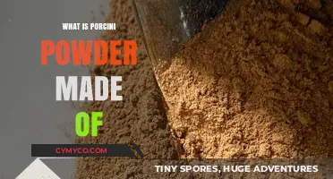 Exploring the Rich Flavor of Porcini Powder: A Culinary Journey