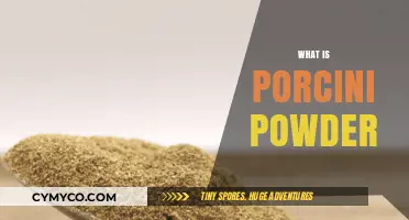 Discover the Rich Flavor and Uses of Porcini Mushroom Powder