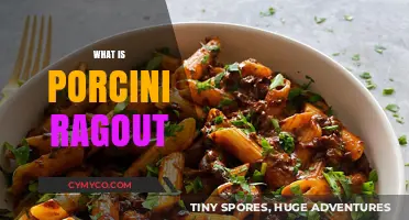Exploring the Rich Flavors of Porcini Ragout: A Culinary Journey