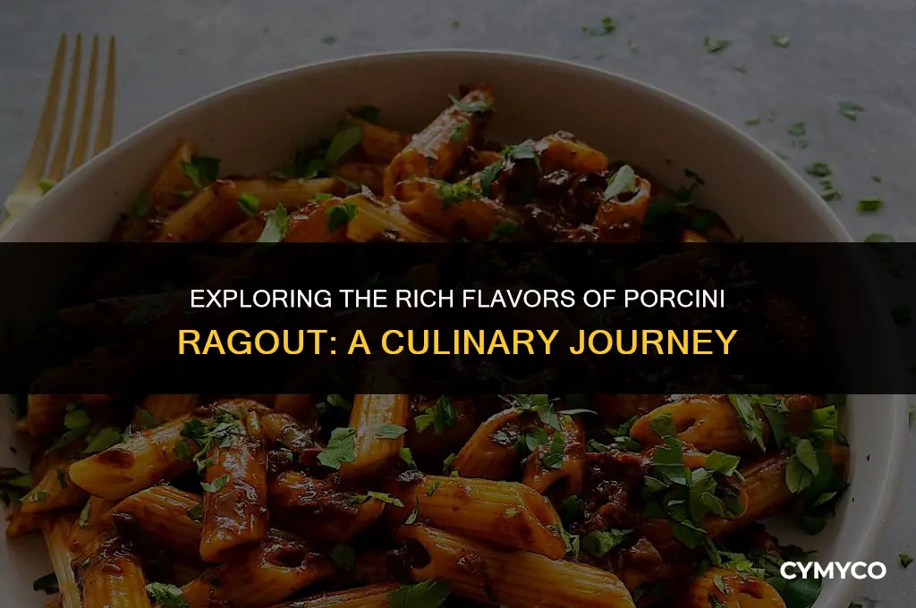 what is porcini ragout