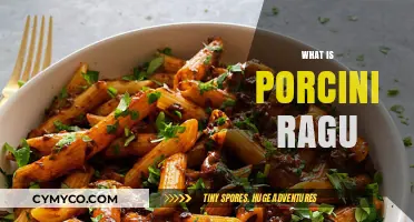 Exploring the Rich Flavors of Porcini Ragu: A Culinary Journey
