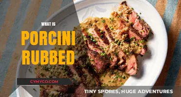 Exploring the Rich Flavor of Porcini Rubbed Steaks