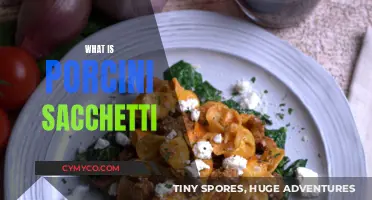 Exploring the Rich Flavors of Porcini Sacchetti: A Culinary Delight