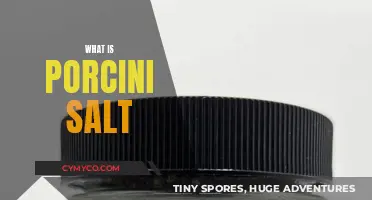 Exploring the Rich Flavor Profile of Porcini Salt: A Culinary Journey