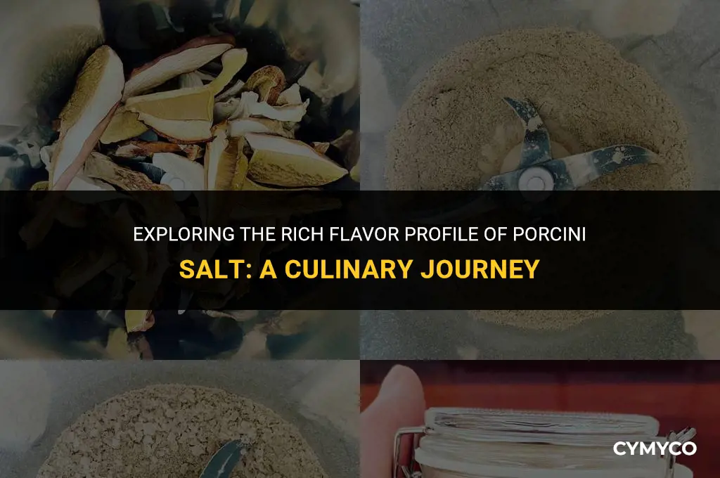 what is porcini salt