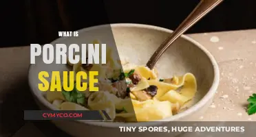 Discover the Rich, Earthy Flavors of Porcini Mushroom Sauce