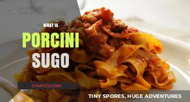 Exploring the Rich Flavors of Porcini Sugo: A Culinary Journey