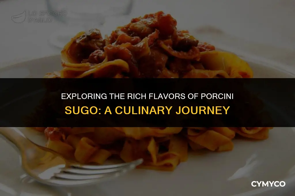 what is porcini sugo