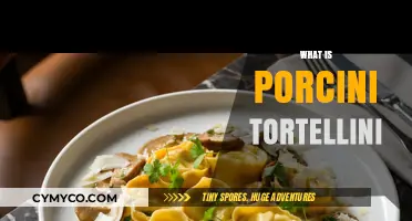 Exploring the Rich Flavors of Porcini Tortellini: A Culinary Delight