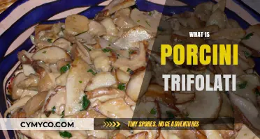 Exploring the Rich Flavors of Porcini Trifolati: A Culinary Journey