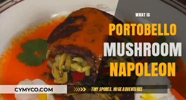 Exploring the Culinary Delight: Portobello Mushroom Napoleon
