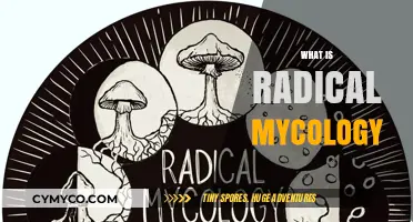 Exploring the Fascinating World of Radical Mycology: A Beginner's Guide