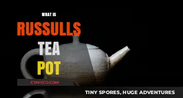 Russell's Teapot: Exploring the Famous Atheist Thought Experiment