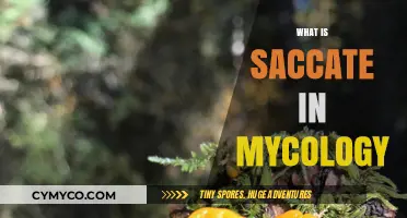 Exploring the Fascinating World of Saccate Fungi