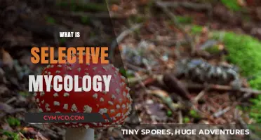 Exploring the Fascinating Realm of Selective Mycology