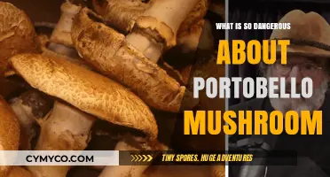 Unveiling the Hidden Dangers of Portobello Mushrooms