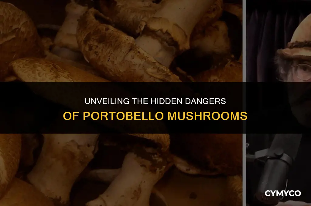 what is so dangerous about portobello mushrooms