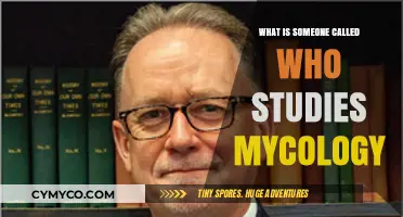 Exploring the Fascinating World of Mycologists: Masters of Fungi