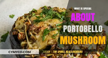 Exploring the Unique Qualities of Portobello Mushrooms