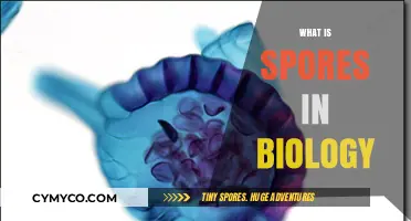 Unlocking the Mysteries of Spores: A Deep Dive into Biology's Tiny Survivors