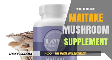 Unlocking Wellness: The Ultimate Guide to Maitake Mushroom Supplements