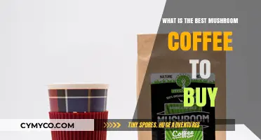 Discover the Top Mushroom Coffee Brands for Optimal Health and Flavor