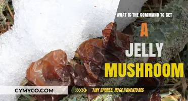 Discover the Secret Command for Summoning Jelly Mushrooms