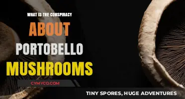 Unveiling the Truth: The Conspiracy Surrounding Portobello Mushrooms