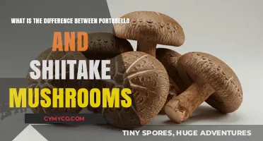 Exploring the Unique Flavors: Portobello vs Shiitake Mushrooms