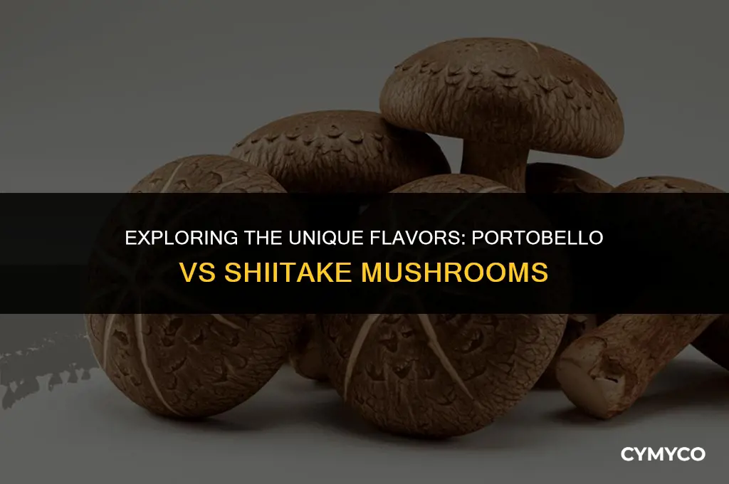 what is the difference between portobello and shiitake mushrooms