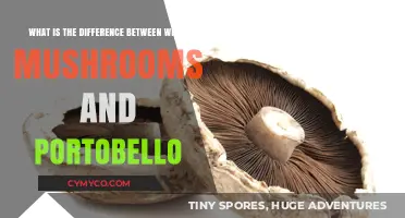 Exploring the Culinary World: White Mushrooms vs. Portobello