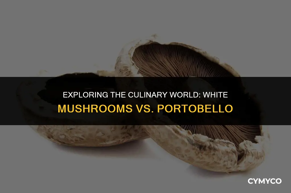 what is the difference between white mushrooms and portobello