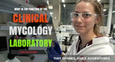Exploring the Vital Role of Clinical Mycology Labs in Healthcare