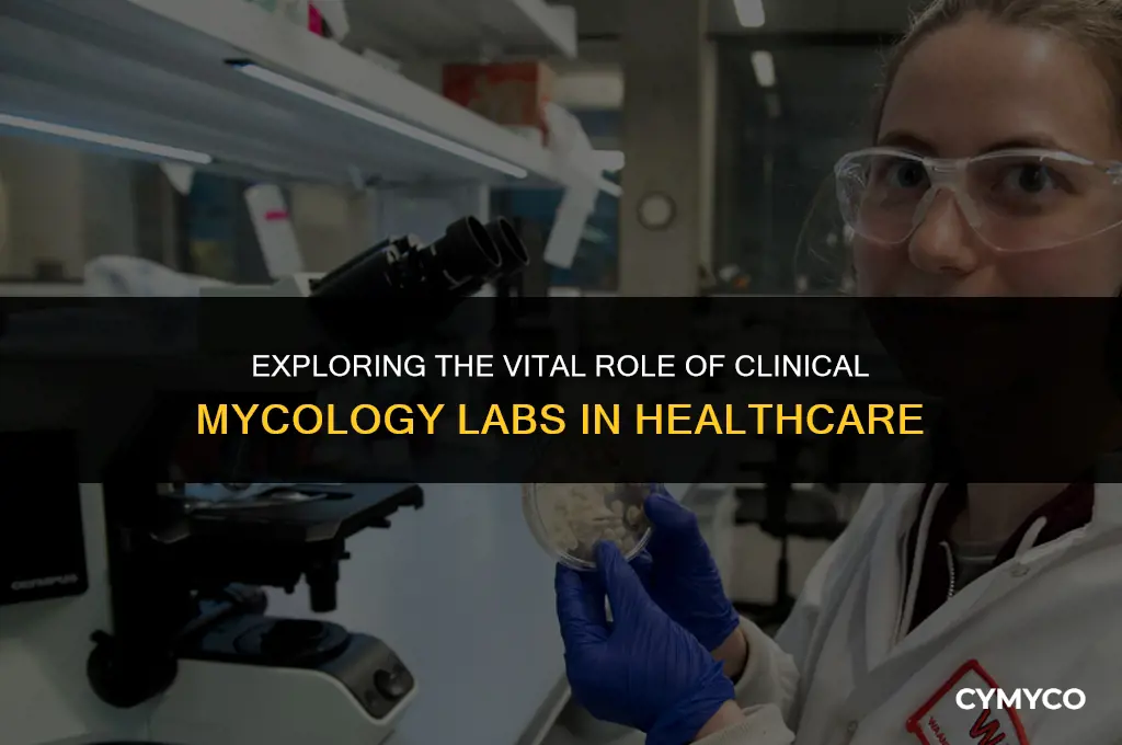 what is the function of the clinical mycology laboratory