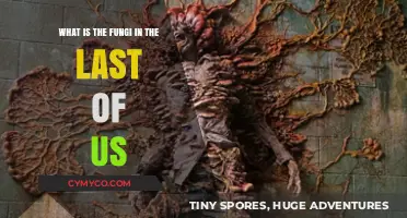 Unveiling the Deadly Cordyceps: The Fungal Menace in 'The Last of Us