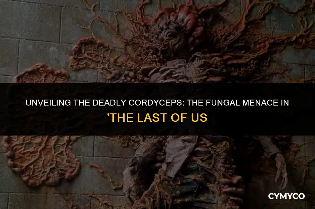 what is the fungi in the last of us