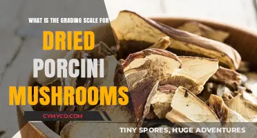 Understanding the Grading Scale for Dried Porcini Mushrooms