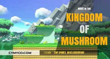 Exploring the Enchanting Realm of Mushrooms: A Kingdom Unveiled