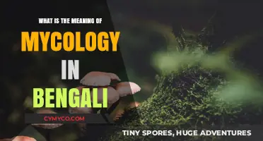 Exploring Mycology: Unveiling the Bengali Meaning and Beyond