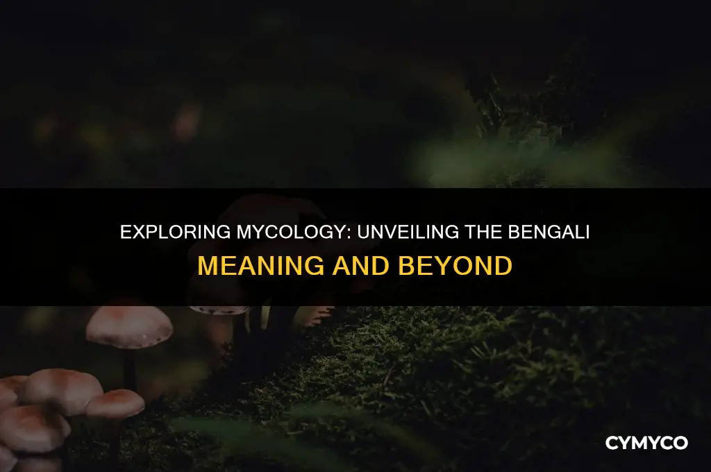 what is the meaning of mycology in bengali