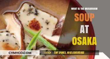 Exploring Osaka's Culinary Delight: The Iconic Mushroom Soup