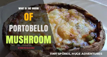 Unveiling the Rich History of the Portobello Mushroom
