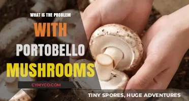 The Hidden Issues with Portobello Mushrooms: A Closer Look