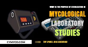The Purpose of Sterilization in Mycological Laboratory Studies