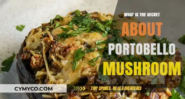 Unveiling the Hidden Wonders of Portobello Mushrooms