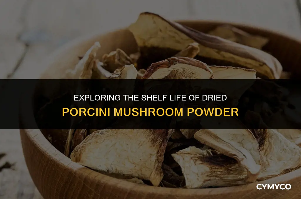 what is the shelf life of dried porcini mushroom powder