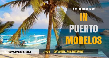 Exploring Puerto Morelos: Top Activities and Hidden Gems