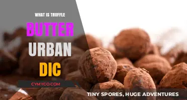 Decoding Truffle Butter: A Deep Dive into Urban Dictionary's Latest Slang
